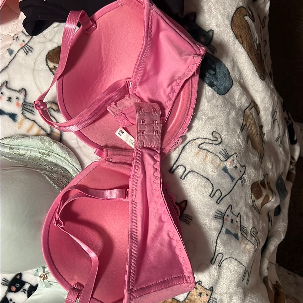 Vibrant Pink Bra